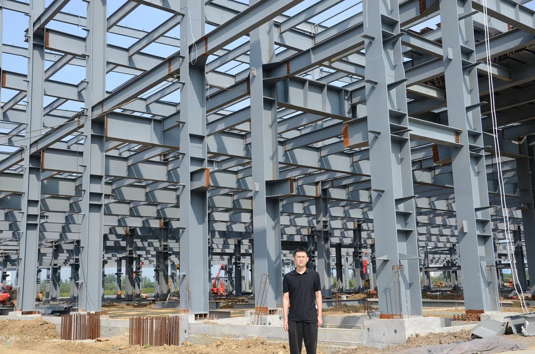 Steel Structure Detail 2