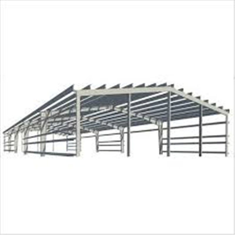 Low Cost Fast Assembling Prefabricated Steel Structure Seafood Processing Plant