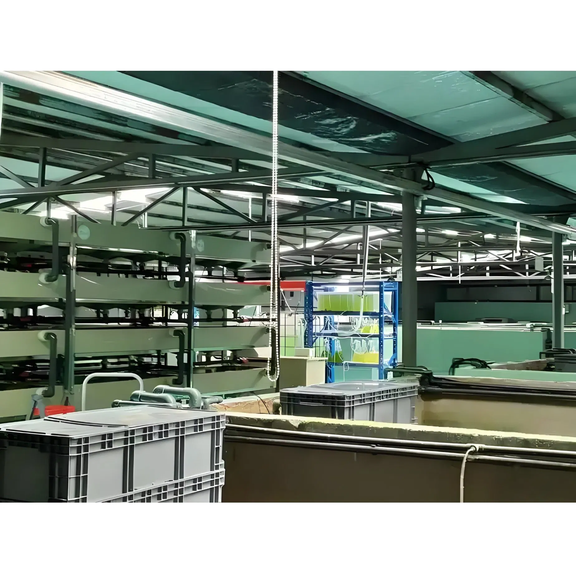 Eco-Friendly Aquaculture Breeding Plant for Healthy Aquatic Life