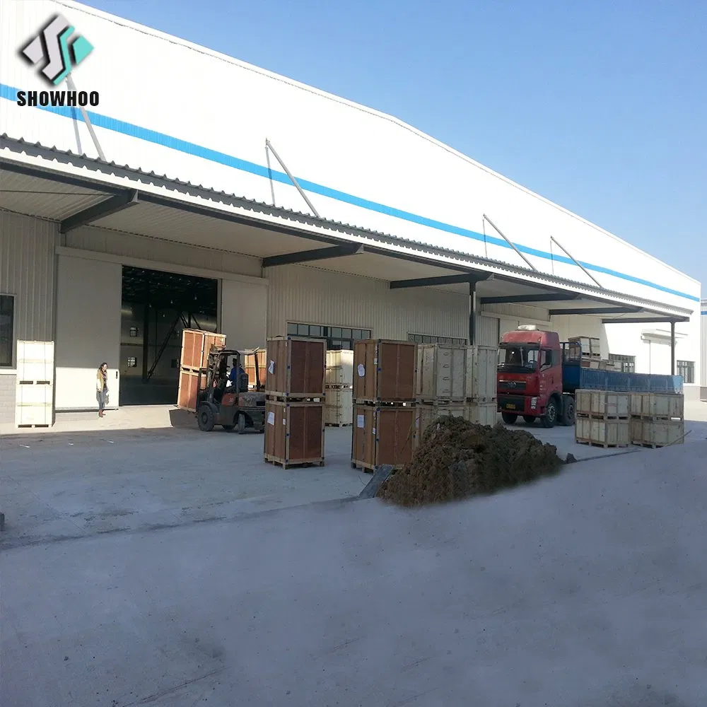 Custom Design Prefabricated Steel Workshop Quick Assembly for Iron Structure Warehouse Building