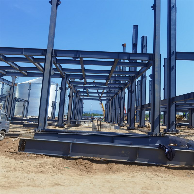 Hot Sell Insulation Prefab Steel Structure Processing Plant