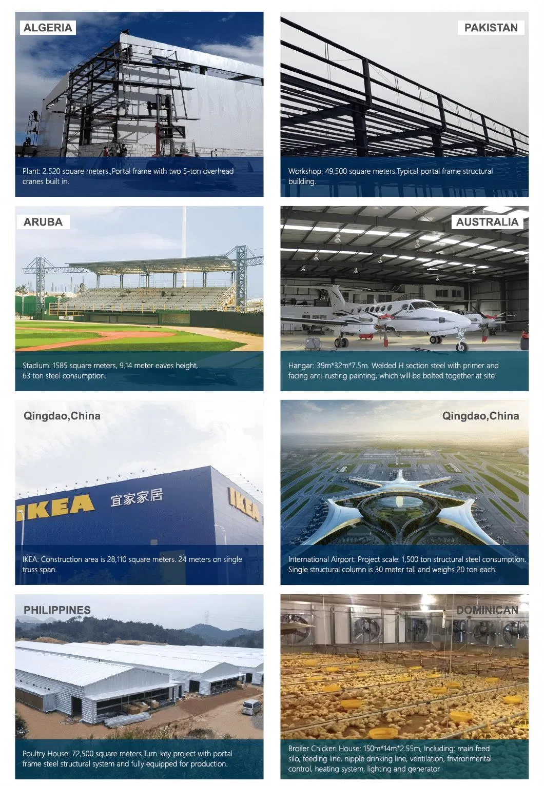 Global Project Cases