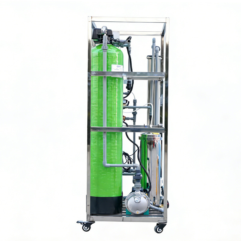 Water Treatment Plant 250lph Reverse Osmosis Plant Water Filter Plant Factory for Canned/Barreled/Bagged Water