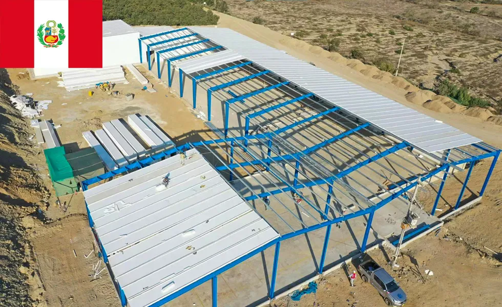 Steel Frame Building