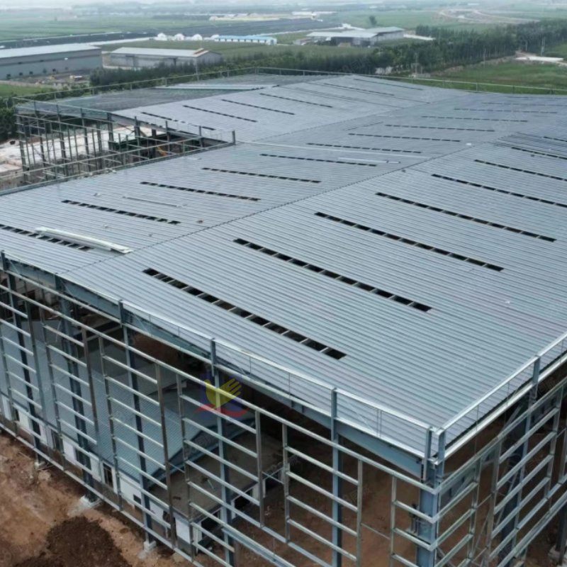 Special Steel Structure Buildings for Production Workshops and Logistics Transfer Stations