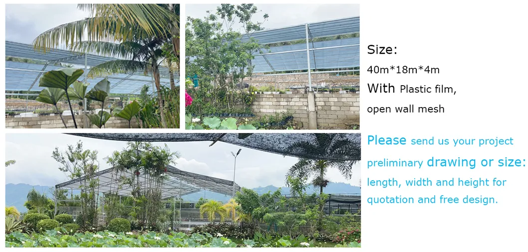 Project Introduction