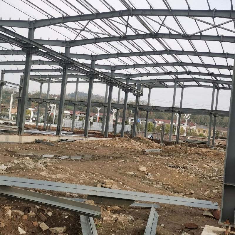 Cold Chain Food Storage Freezer Steel Structure Warehouse Building