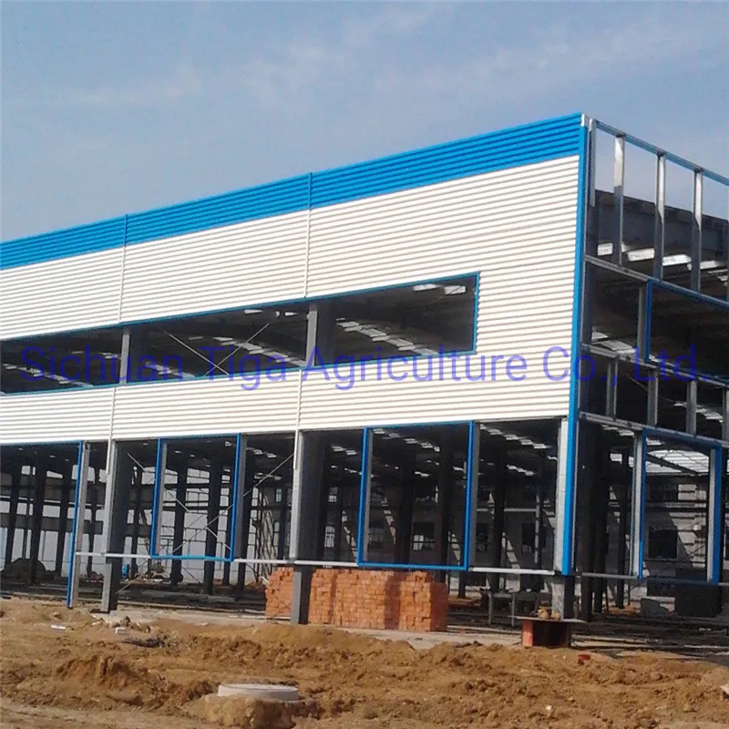 Steel Structure Building 8