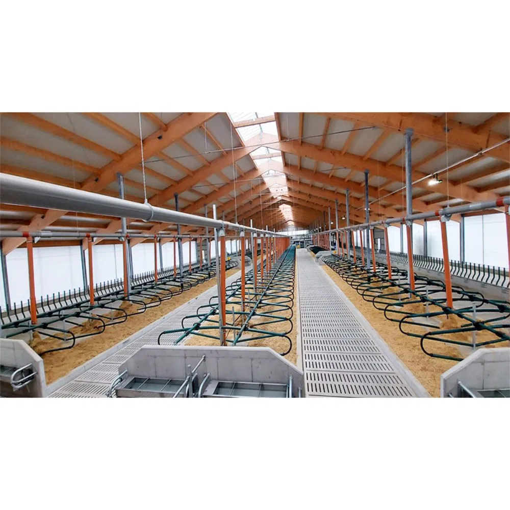 Cost-Effective Prefabricated Steel Structure Buildings Suitable for Agricultural Greenhouses and Farm Facilities