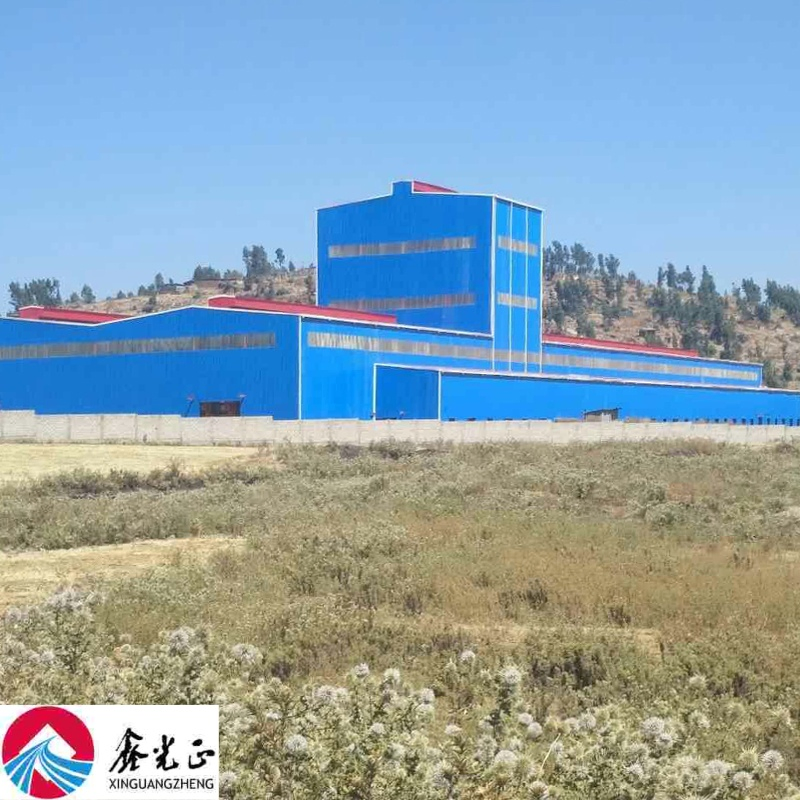 Customizable High Quality Modular Galvanized Prefabricated Steel Building Manufacturing Plant