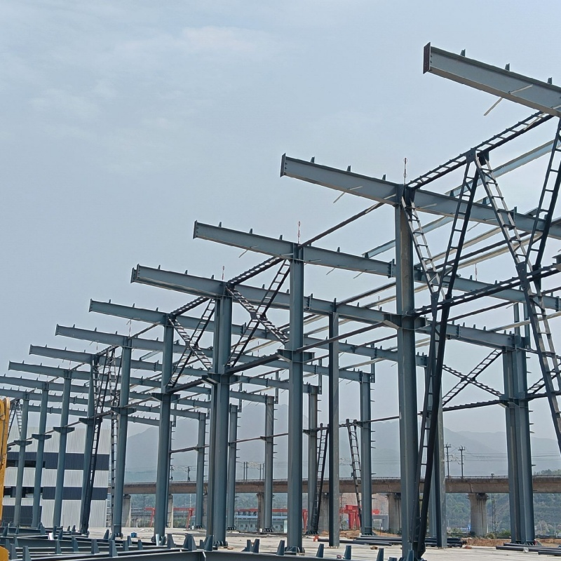 Cold Chain Storage Steel Structure Storage Building for Food