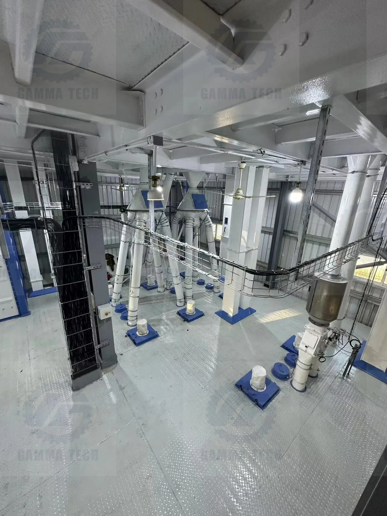 Complete 20tph Industrial Feed Mill Plant with Steel Structure &amp; Silos