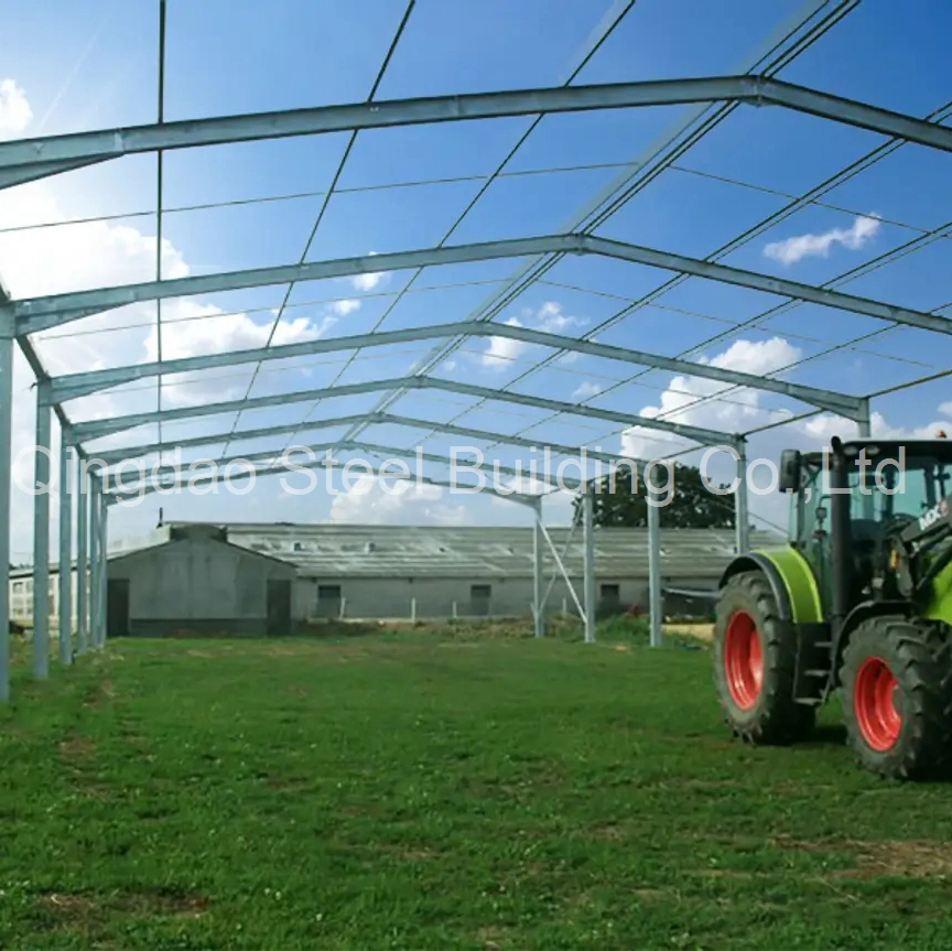 CE Prefabricated Steel Structure Agricultural Farm Storage Shed Workshop Warehouse Construction Building