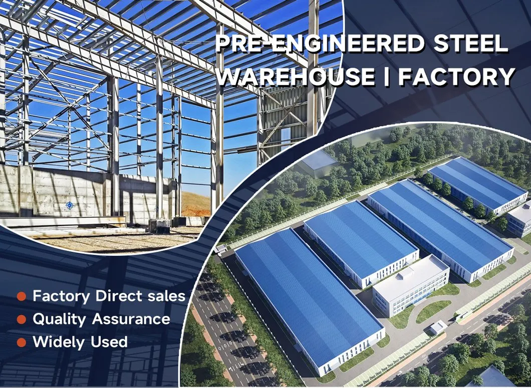 Steel Structure Building
