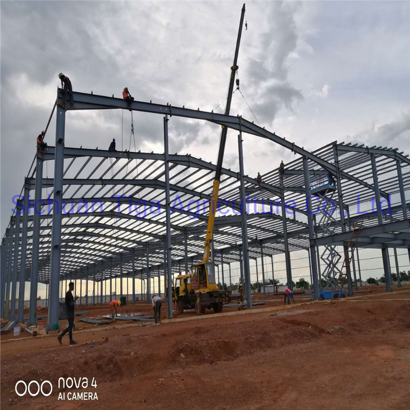 Professional Design Fireproof Long Span Light Frame Aircraft Shed Prefabricated Steel Structure Hangar