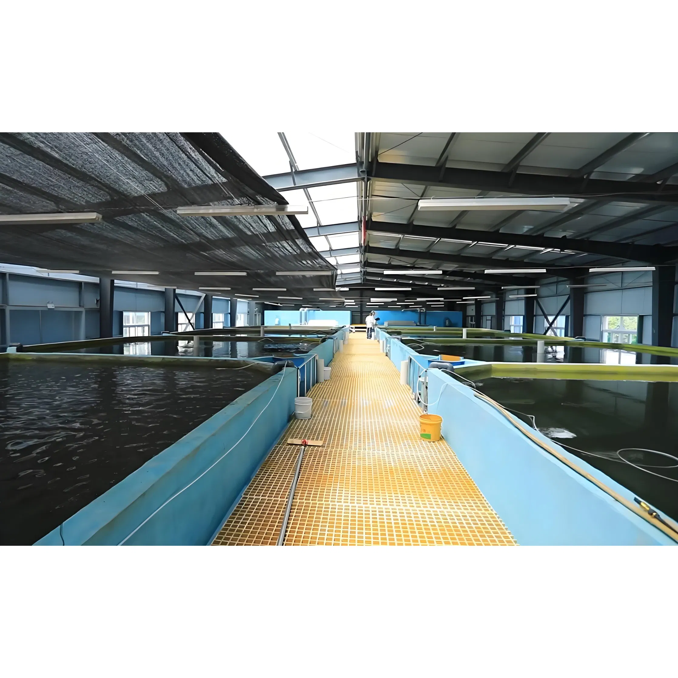 Eco-Friendly Aquaculture Breeding Plant for Healthy Aquatic Life