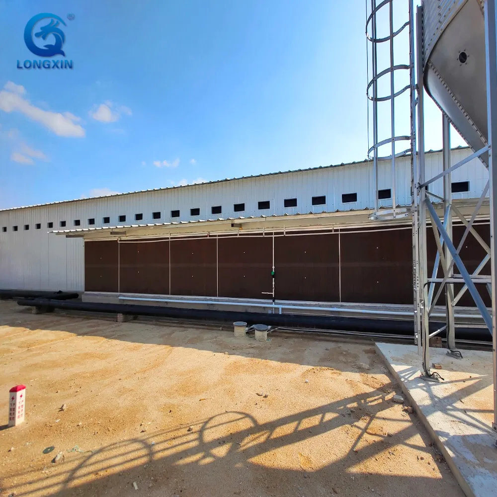 Agricultural Steel Structure Poultry Farm House Chicken Coop Building