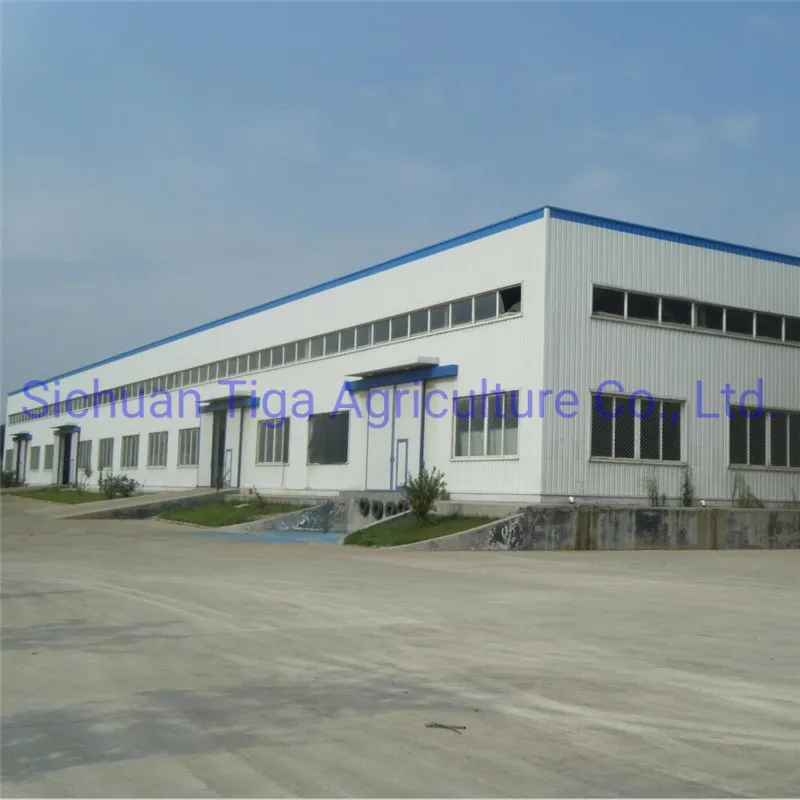 Steel Structure Building 11