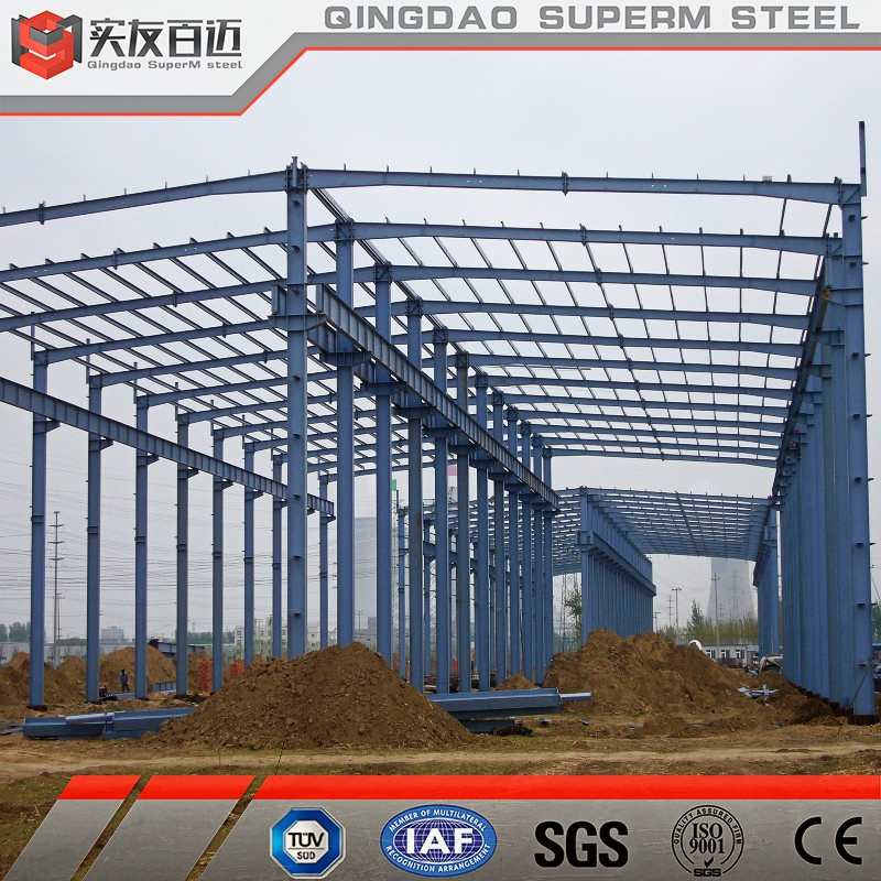 Steel Structure Workshop with Crane for Tire/Marble/Slaughter/Steel Production and Processing