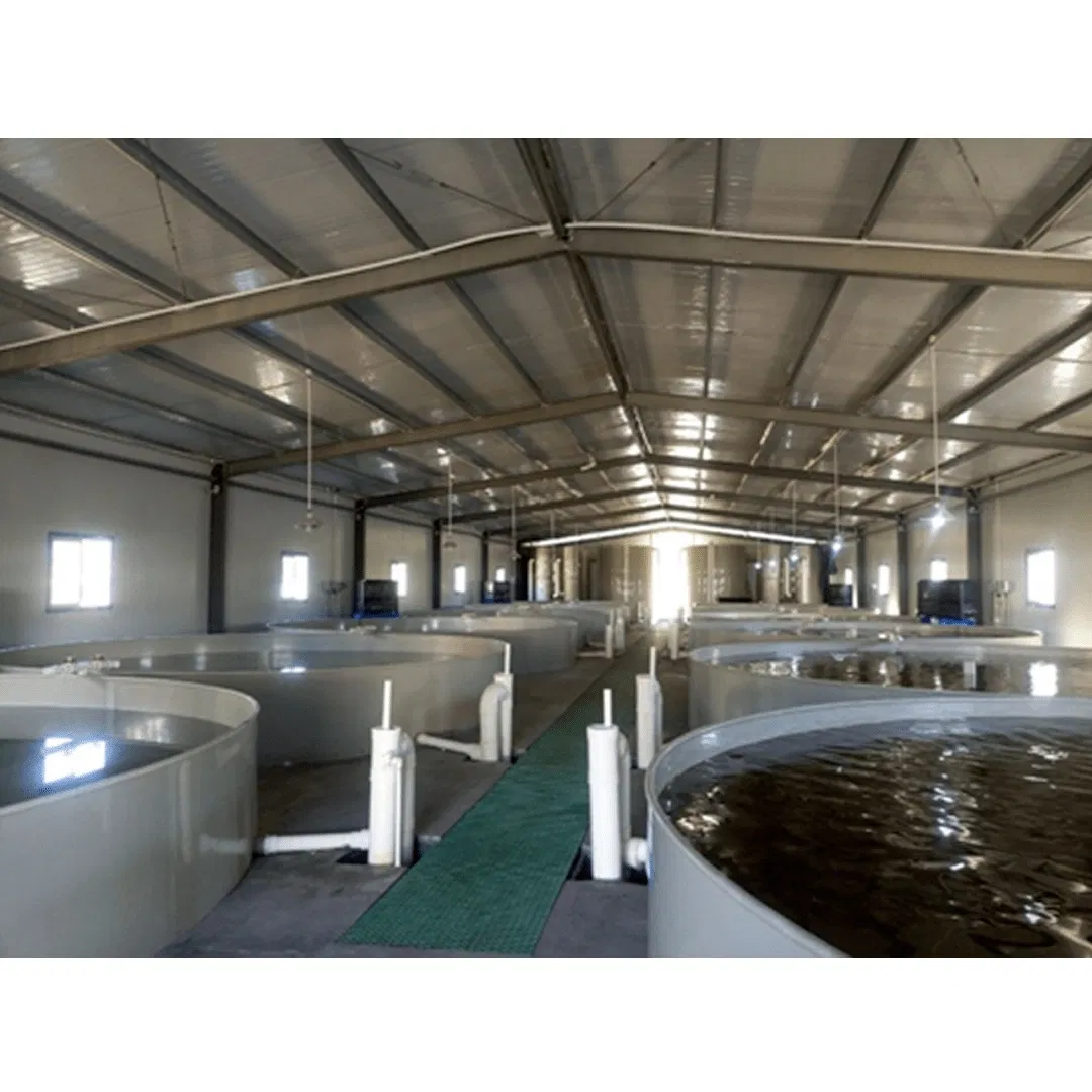 Eco-Friendly Aquaculture Breeding Plant for Healthy Aquatic Life