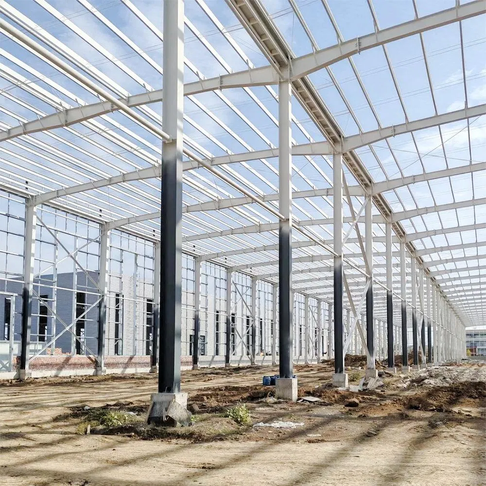 Factory Price Light Steel Structure Poultry Houses for Farm Shed and Agricultural Use Building