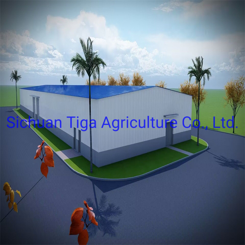 High Strength Fast Installation Prefabricated Steel Structure Distribution Center