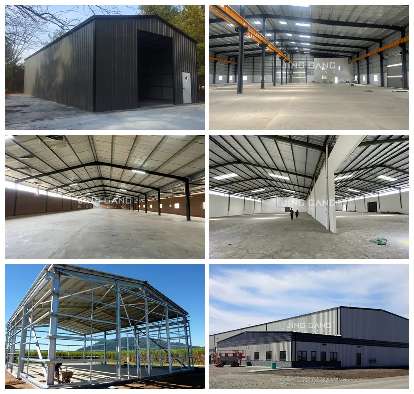 Steel Structure Building Case 1