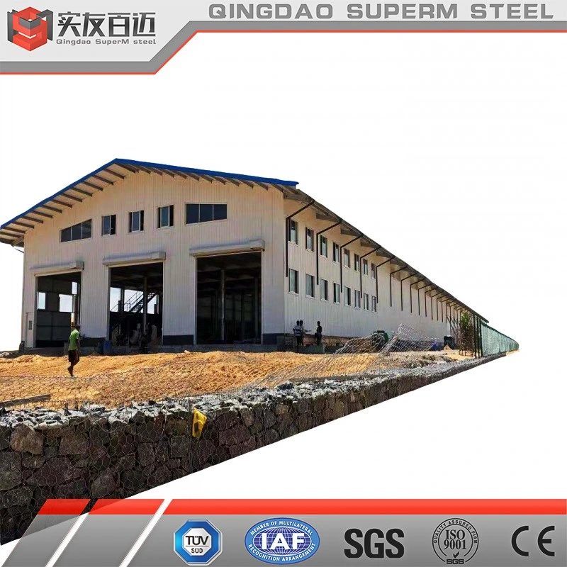 Steel Structure Workshop with Crane for Tire/Marble/Slaughter/Steel Production and Processing