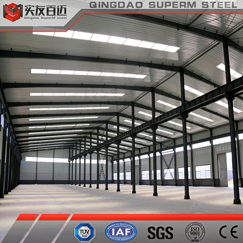 Steel Structure Workshop with Crane for Tire/Marble/Slaughter/Steel Production and Processing