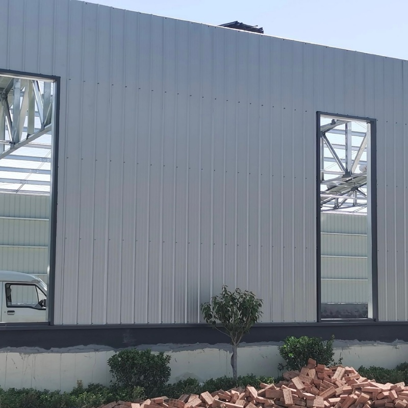 Cold Chain Storage Steel Structure Storage Building for Food