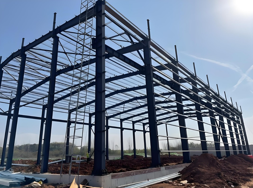 Reliable Steel Structure Solution for Food Processing Plants and Hygienic Storage