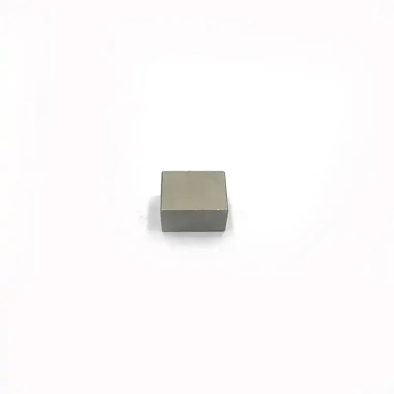 China Radial Samarium Cobalt (SmCo) Permanent Magnet