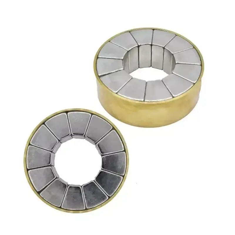 Strong Halbach Array Specialized Magnetic Assembly01