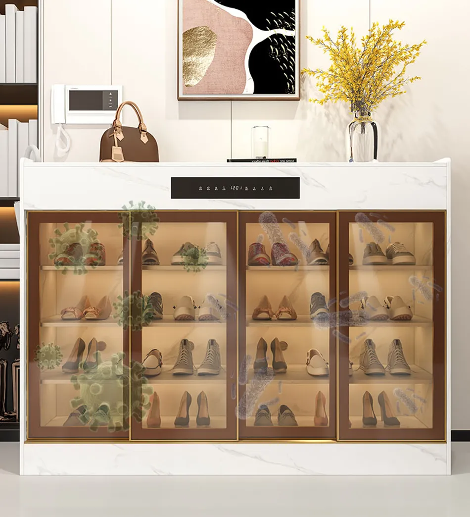 Shoe Rack Cabinet Organizer
