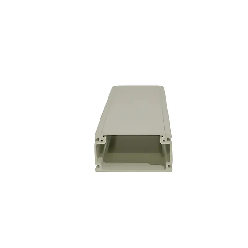Wholesale UPVC 100*50 Cable Trunking Lightweight Manufacturer, Price
