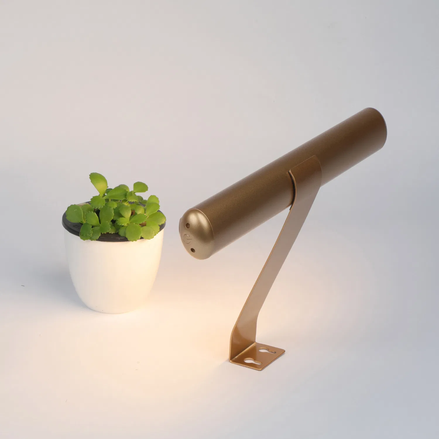 Adjustable Picture Lamp, Wall Lamp, LED Task Lamp for Home Office