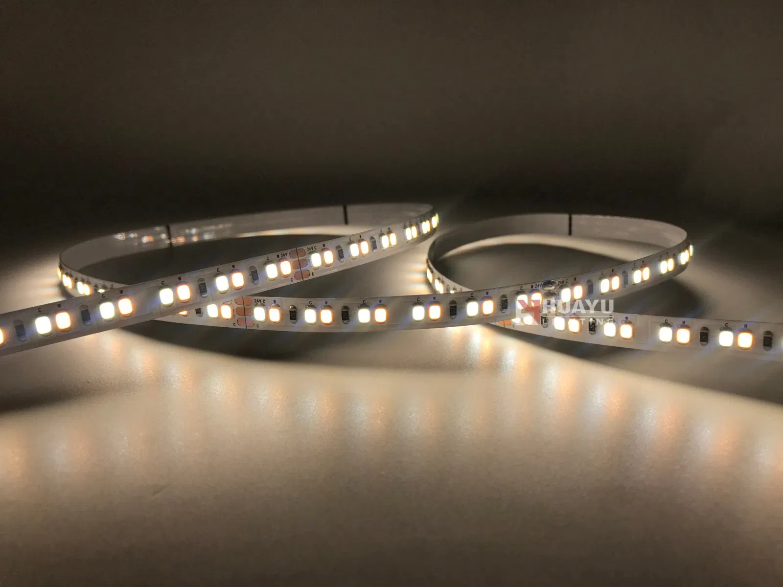 Architect Series CCT Adjustable Rope Light - 24V, High-Density 2835 LEDs, Ultra High Efficacy