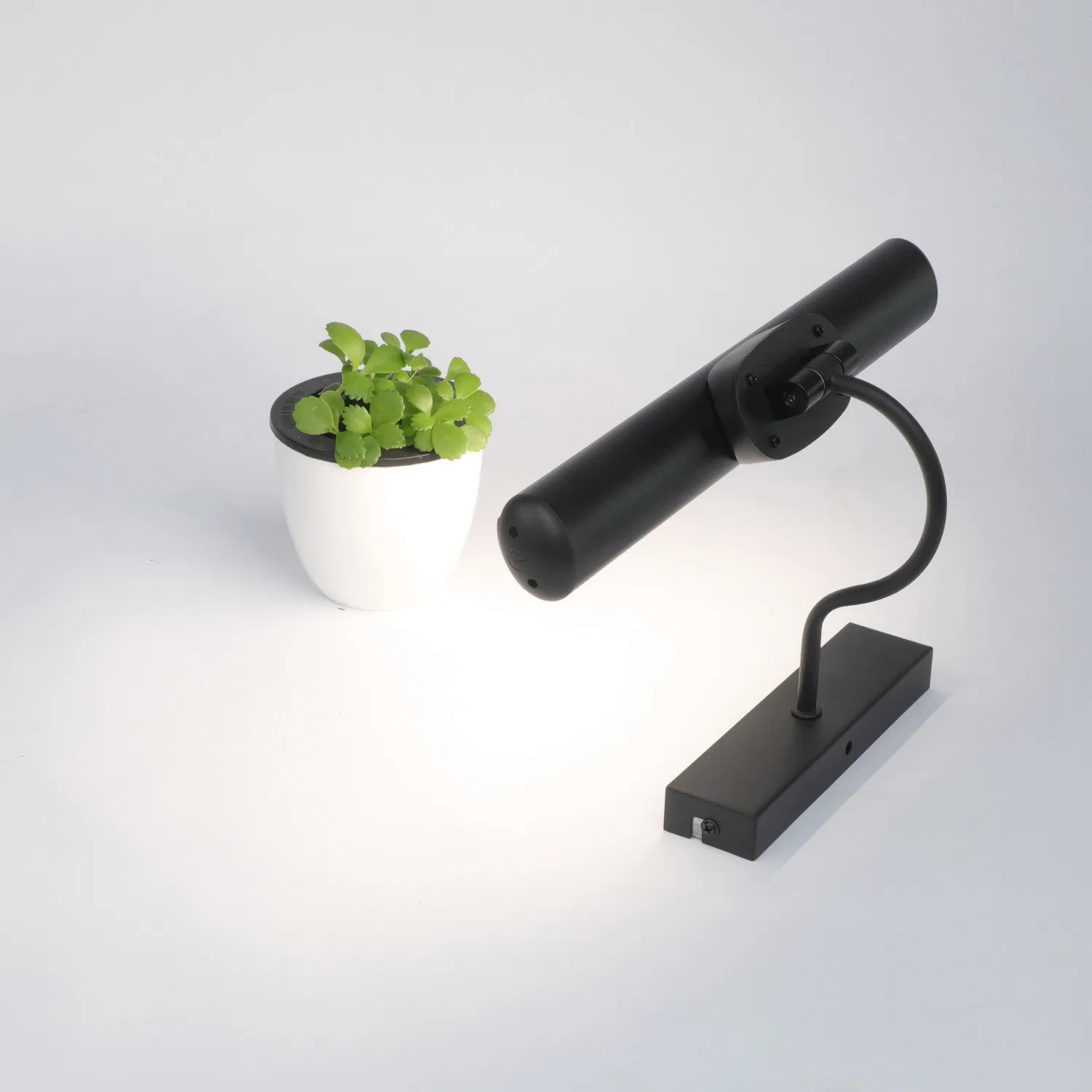 Adjustable Picture Lamp, Wall Lamp, LED Task Lamp for Weddings