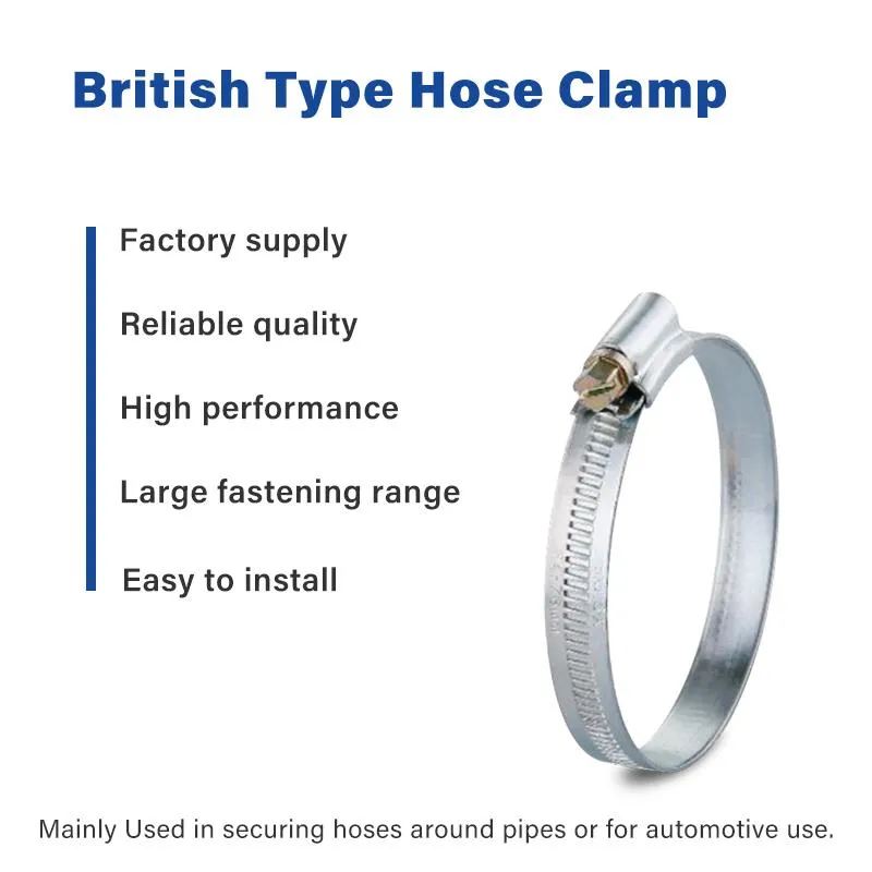German Type Hose Clamp Detail 2