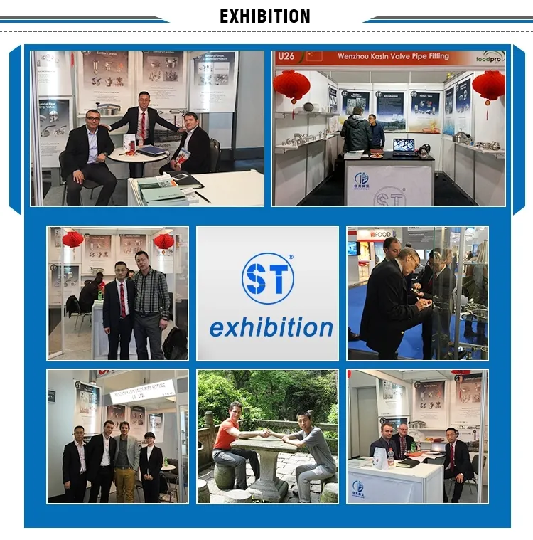 Sanitary Clamp Detail 2