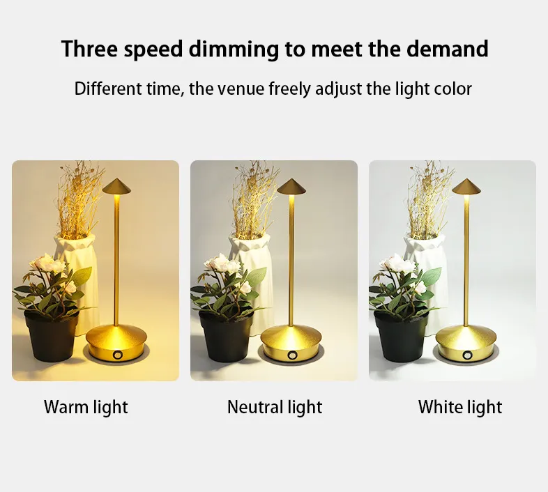 Designer Table Light