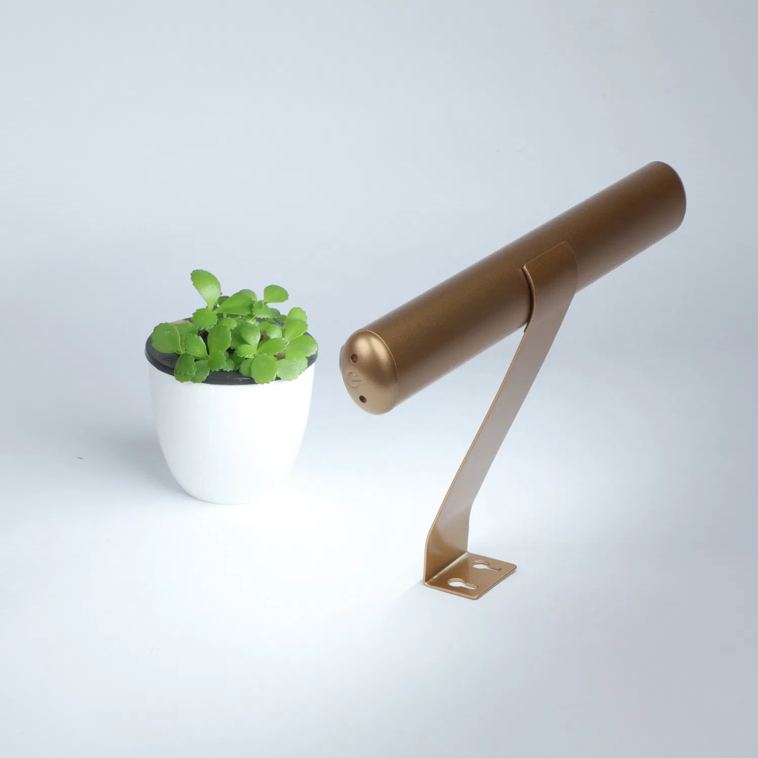 Adjustable Picture Lamp, Wall Lamp, LED Task Lamp for Weddings