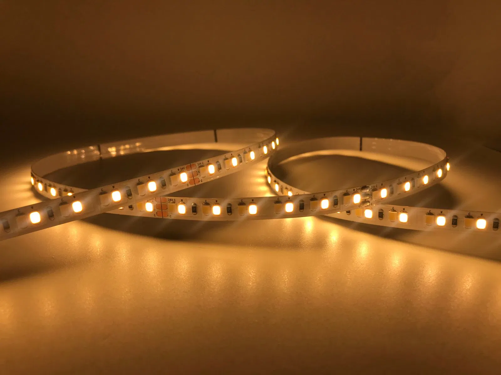 Architect Series CCT Adjustable Rope Light - 24V, High-Density 2835 LEDs, Ultra High Efficacy