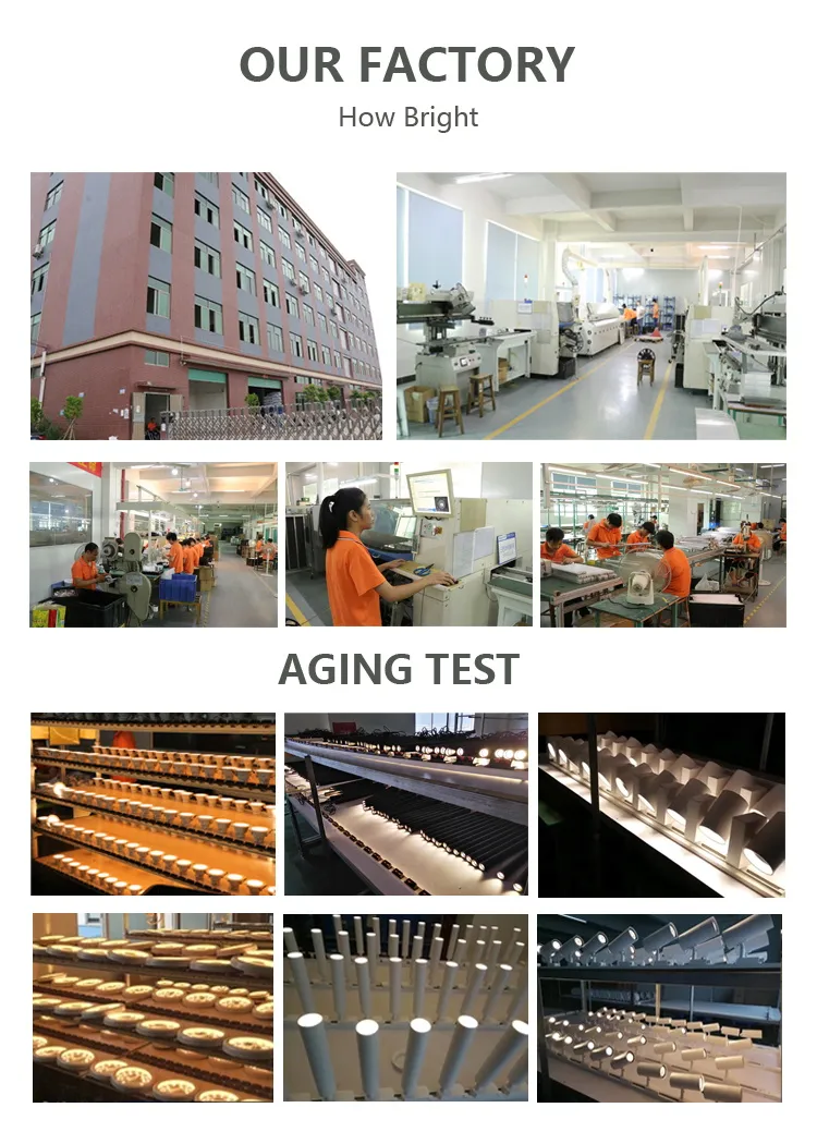 Factory Audit