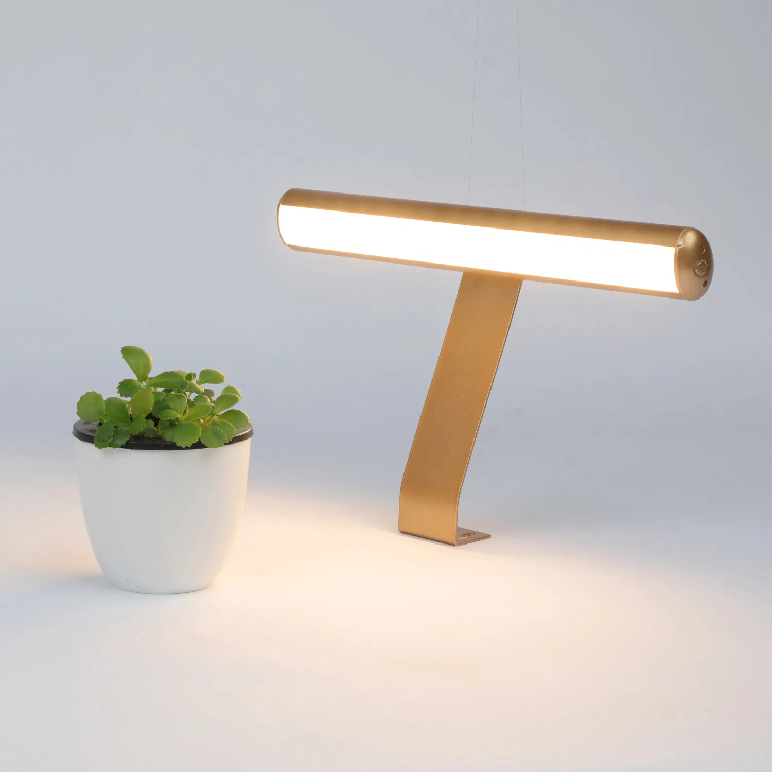 Modern Picture Lamp, Wall Lamp, Dimmable LED Task Lamp for Schools