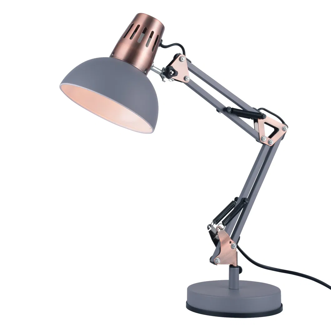 Flexible Desk Light