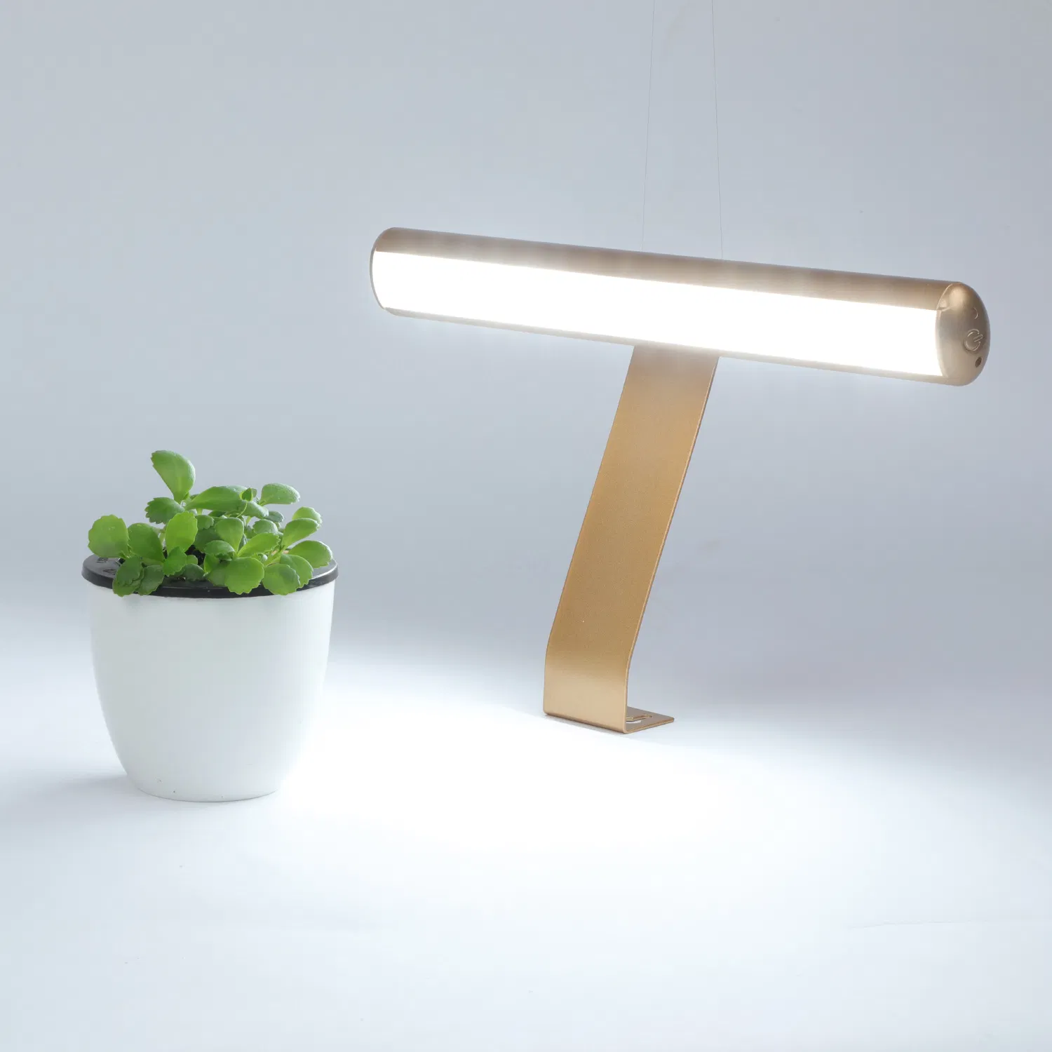 Modern Picture Lamp, Wall Lamp, Dimmable LED Task Lamp for Schools