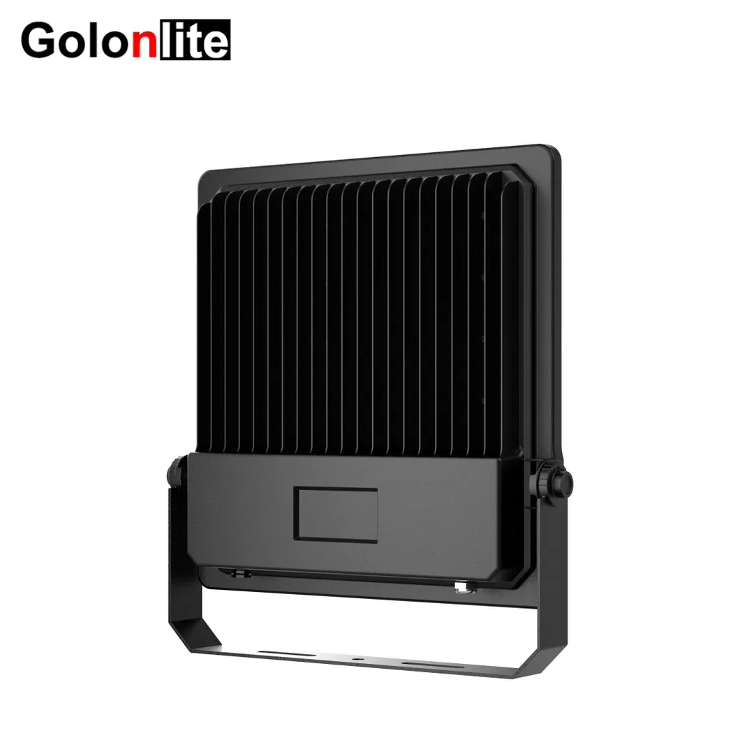 LED Floodlight 5