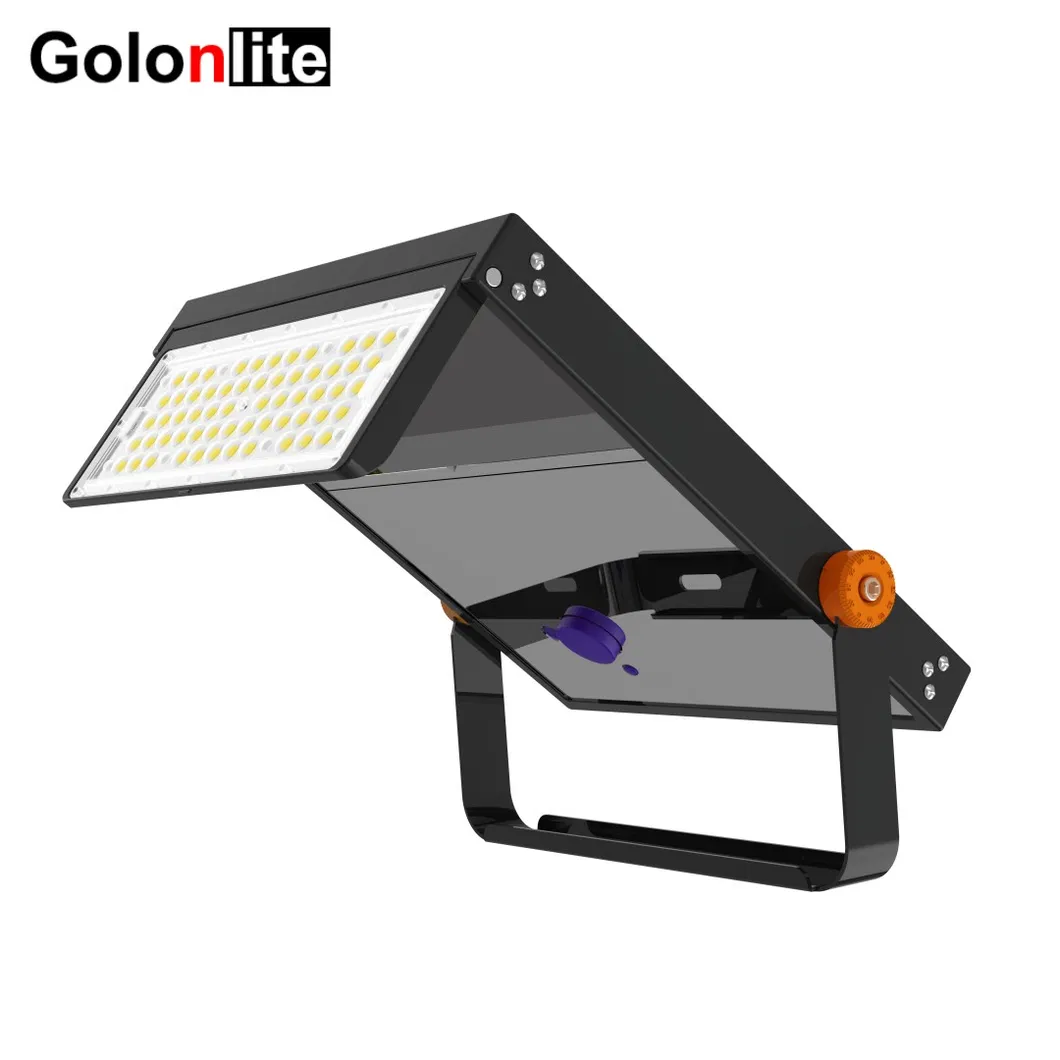 Solar Garden Light 1