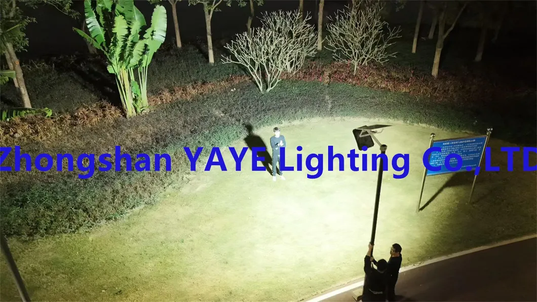 Solar Light 22